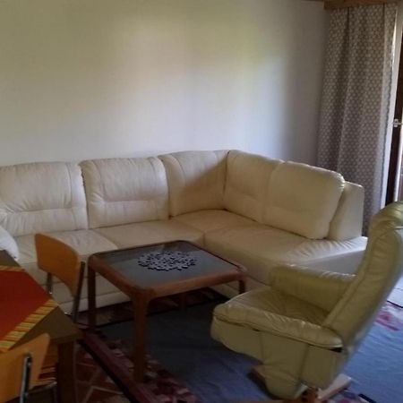 Haus Am Bach Apartment Кирхберг ин Тирол Екстериор снимка