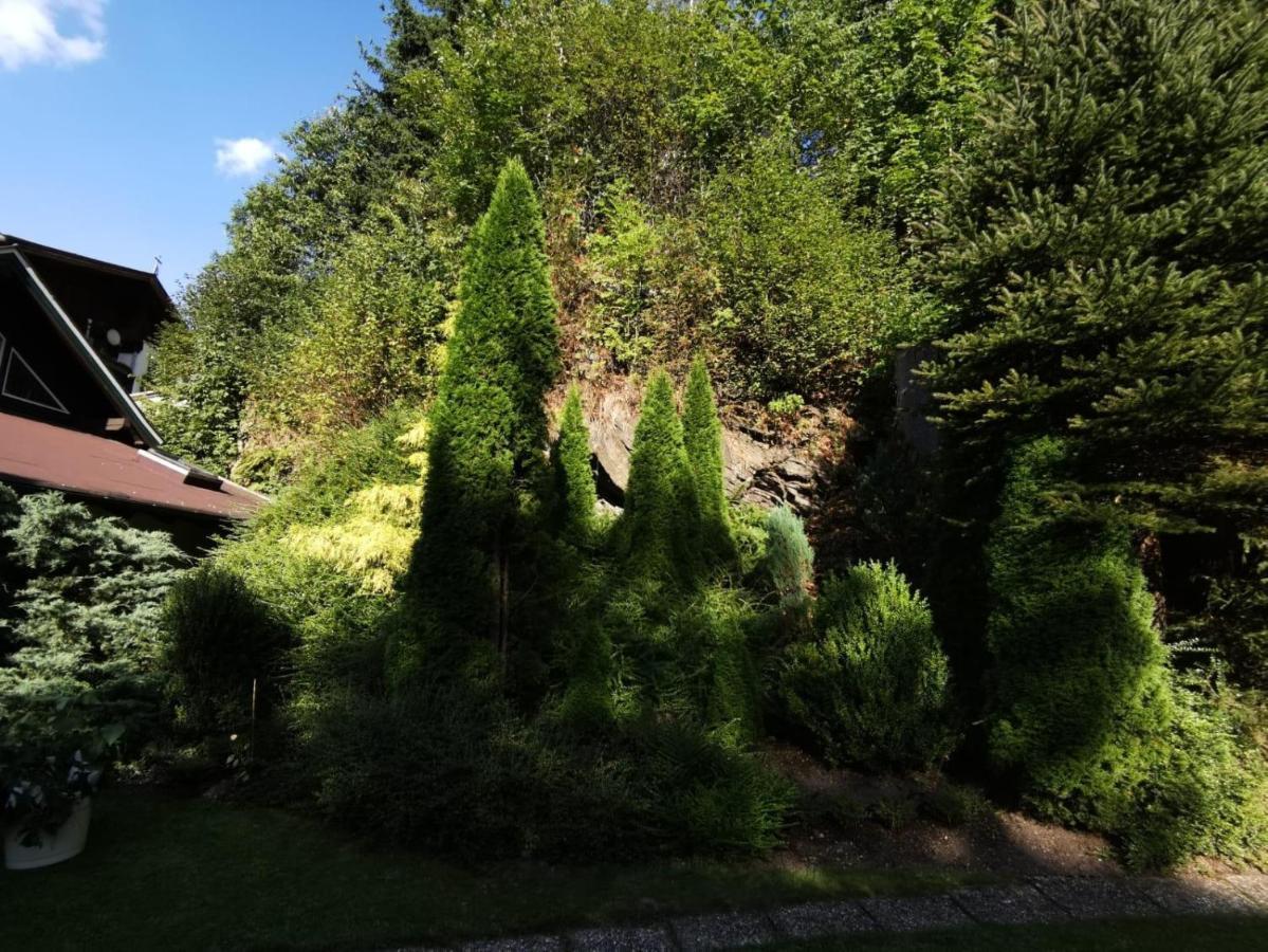 Haus Am Bach Apartment Кирхберг ин Тирол Екстериор снимка